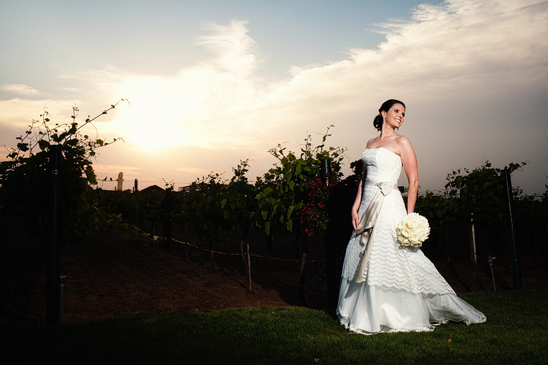 bridal portraits at Delaney Vineyards with off camera lighting by Allison Davis Photography