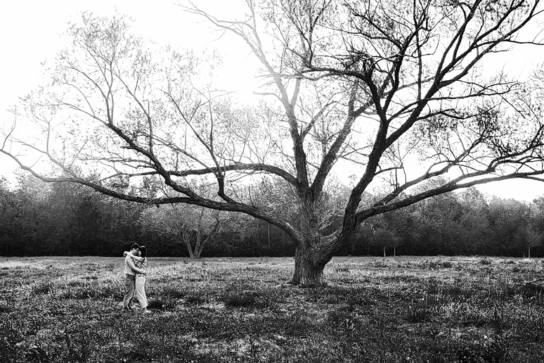 engagement portraits at white rock lake by a large tree by dallas photographer allison davis