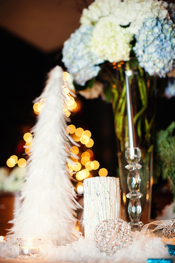 084_073_071_Holly&Kent_Wedding_byAllisonDavisPhotography_HighResolution_-1035