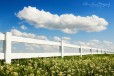 NorthDallas_Country_Images_byAllisonDavisPhotography__001