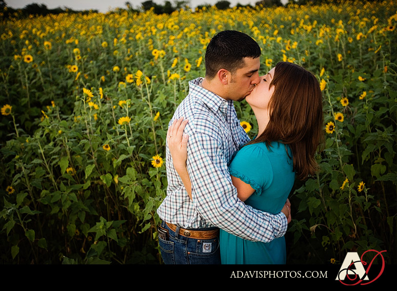 Romantic and modern country engagement portraits by Prosper Texas wedding photographer Allison Davis Photography