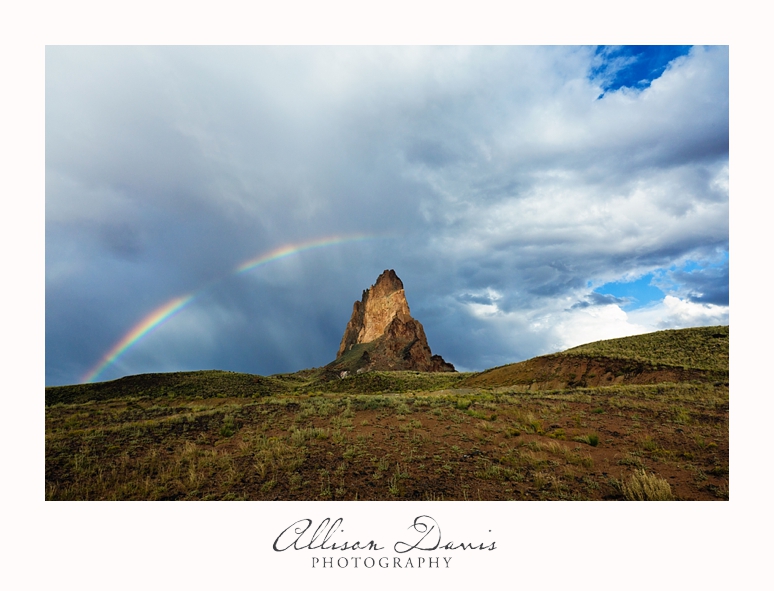 Travel_Photography_United_States_Southwest_Utah_Allison_Davis_Photography_0007