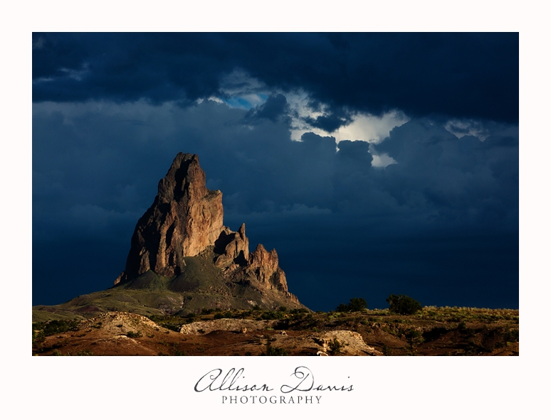 Travel_Photography_United_States_Southwest_Utah_Allison_Davis_Photography_0009