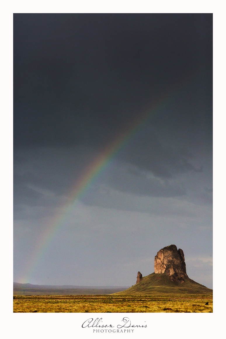 Travel_Photography_United_States_Southwest_Utah_Allison_Davis_Photography_0010