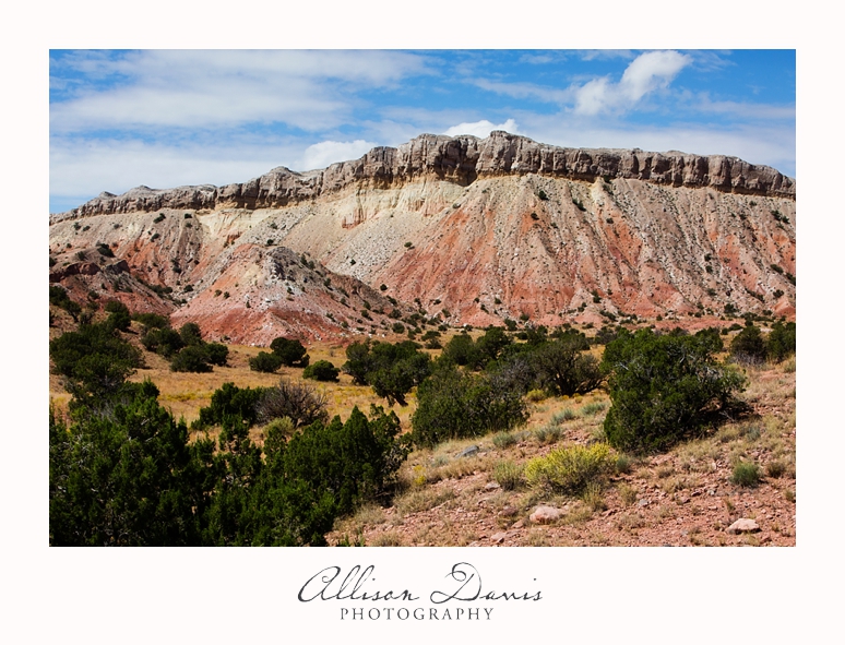 Travel_Photography_United_States_Southwest_Utah_Allison_Davis_Photography_0012