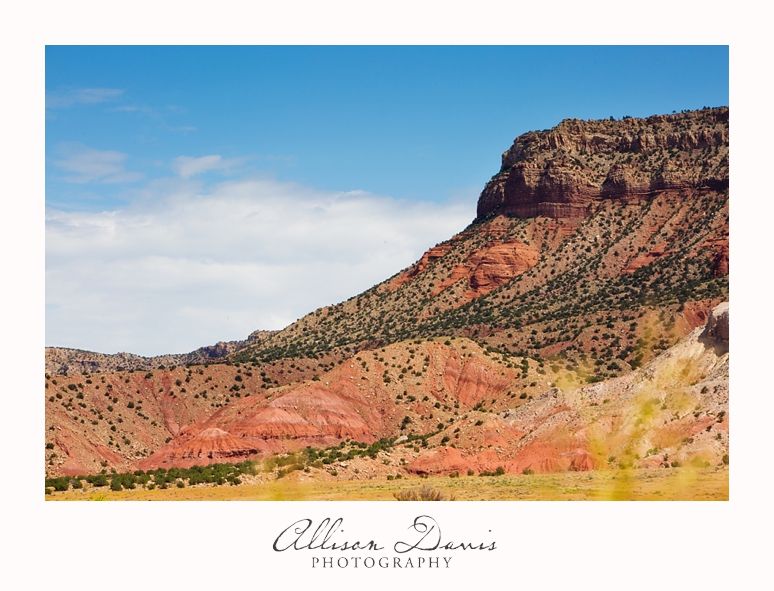 Travel_Photography_United_States_Southwest_Utah_Allison_Davis_Photography_0013