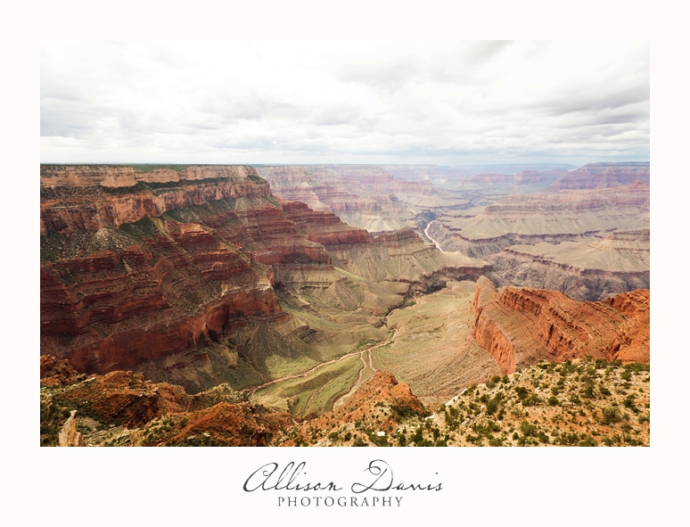 Travel_Photography_United_States_Southwest_Utah_Allison_Davis_Photography_0015