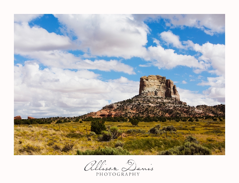 Travel_Photography_United_States_Southwest_Utah_Allison_Davis_Photography_0021