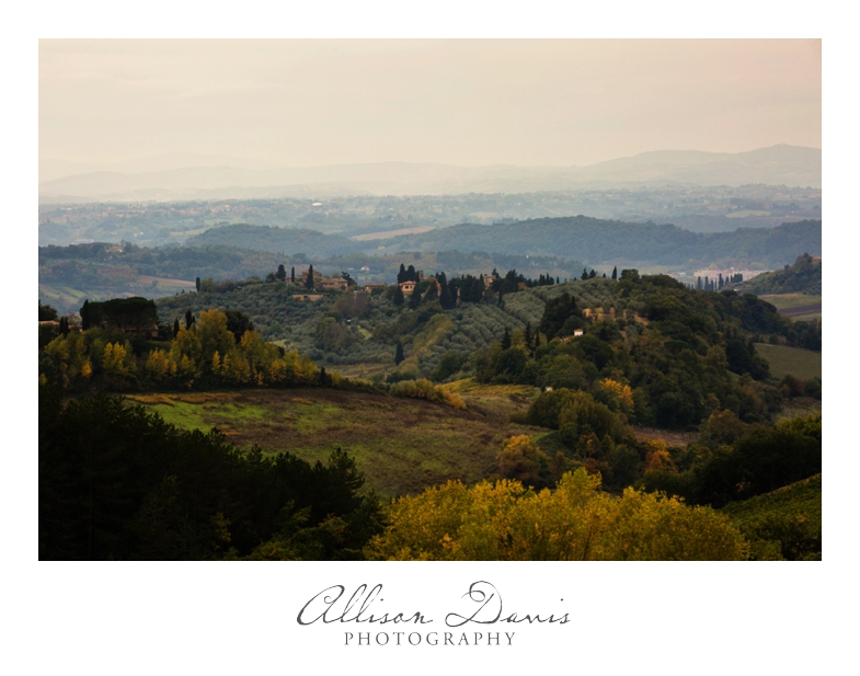 Travel_Landscape_Photography_Itay_Florence_CinqueTerre_Tuscany_AllisonDavisPhotography_016