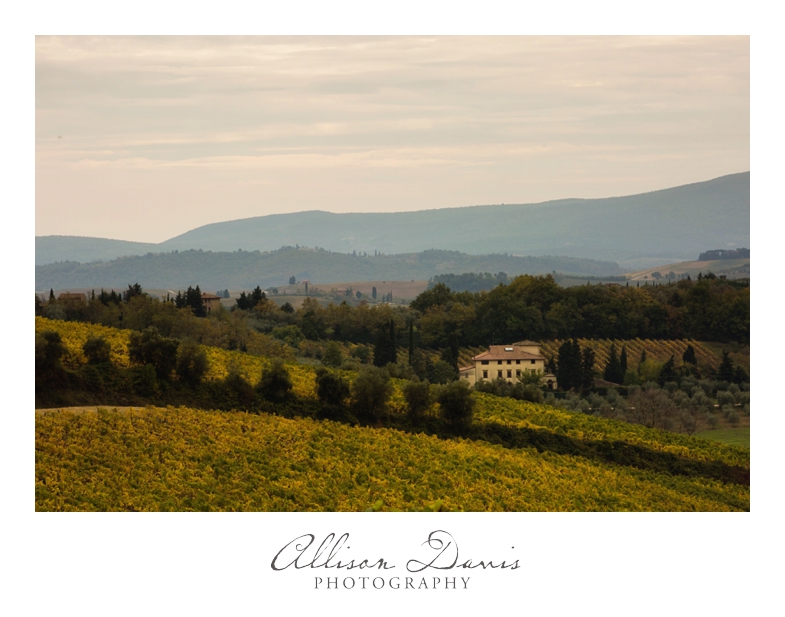 Travel_Landscape_Photography_Itay_Florence_CinqueTerre_Tuscany_AllisonDavisPhotography_017