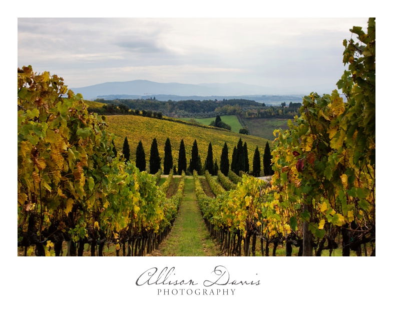 Travel_Landscape_Photography_Itay_Florence_CinqueTerre_Tuscany_AllisonDavisPhotography_018