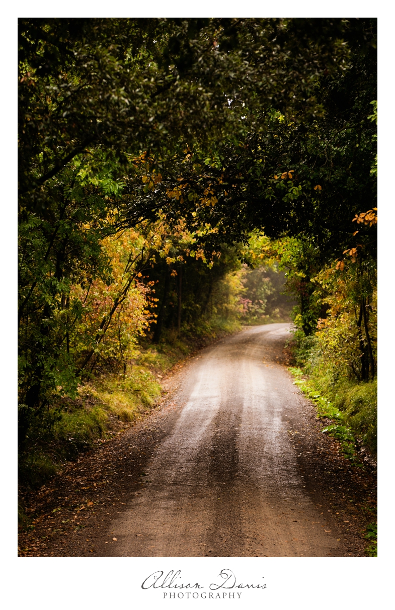 Travel_Landscape_Photography_Itay_Florence_CinqueTerre_Tuscany_AllisonDavisPhotography_019