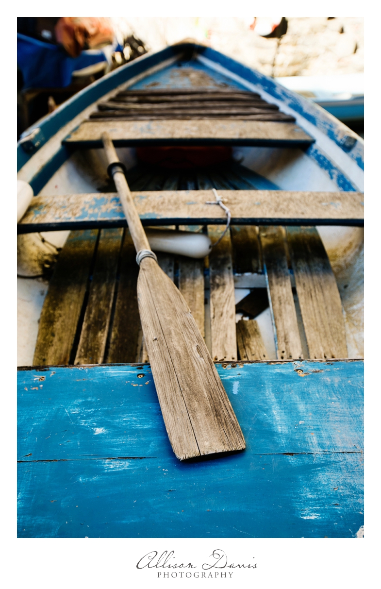 Travel_Landscape_Photography_Itay_Florence_CinqueTerre_Tuscany_AllisonDavisPhotography_036