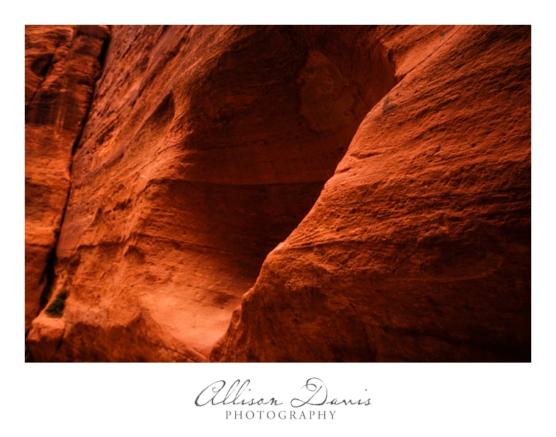 Travel_Photographer_Landscape_Photography_Jordan_Petra__7_World_Wonders_AllisonDavisPhotography_008