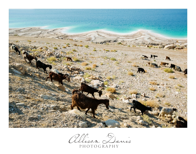 Travel_Photographer_Landscape_Photography_Jordan_Dead_Sea_AllisonDavisPhotography_006