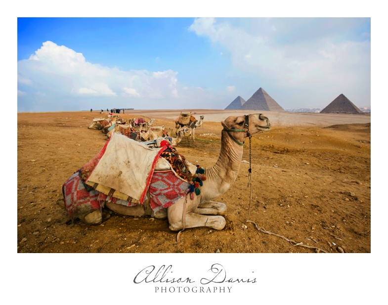 Travel_Photographer_Landscape_Photography_Egypt_Cairo_Pyramids_Luxor_AllisonDavisPhotography_004