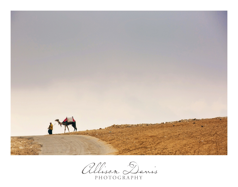 Travel_Photographer_Landscape_Photography_Egypt_Cairo_Pyramids_Luxor_AllisonDavisPhotography_005