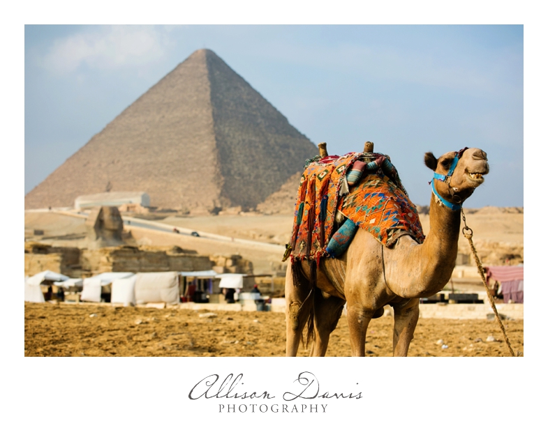 Travel_Photographer_Landscape_Photography_Egypt_Cairo_Pyramids_Luxor_AllisonDavisPhotography_007