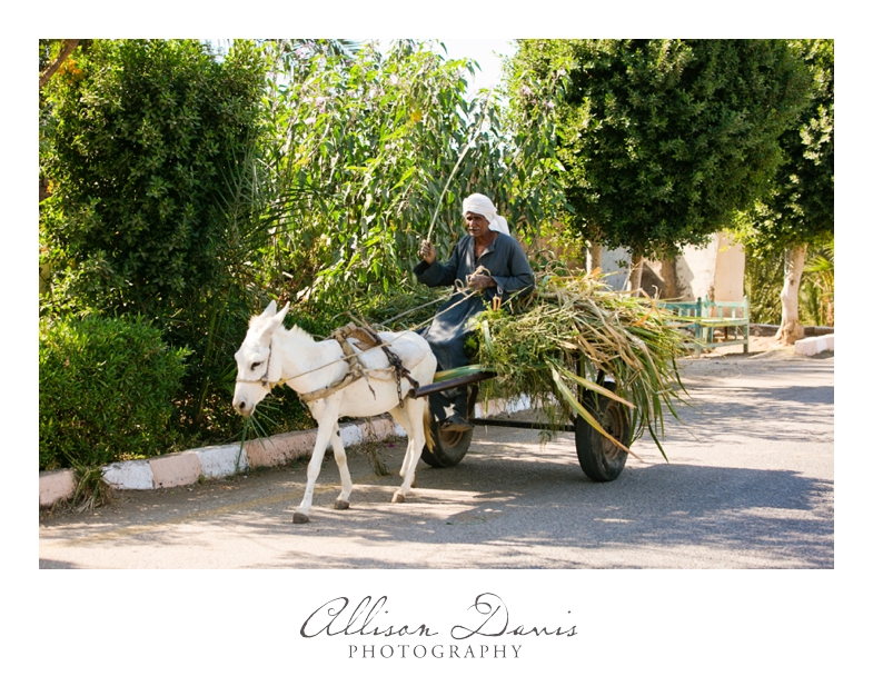 Travel_Photographer_Landscape_Photography_Egypt_Cairo_Pyramids_Luxor_AllisonDavisPhotography_013