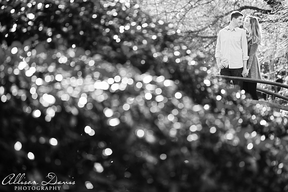 Claire_Jonathan_Romantic_Engagement_Portraits_Fort_Worth_Japanese_Gardens_Brewed_Melt_Allison_Davis_Photography_003