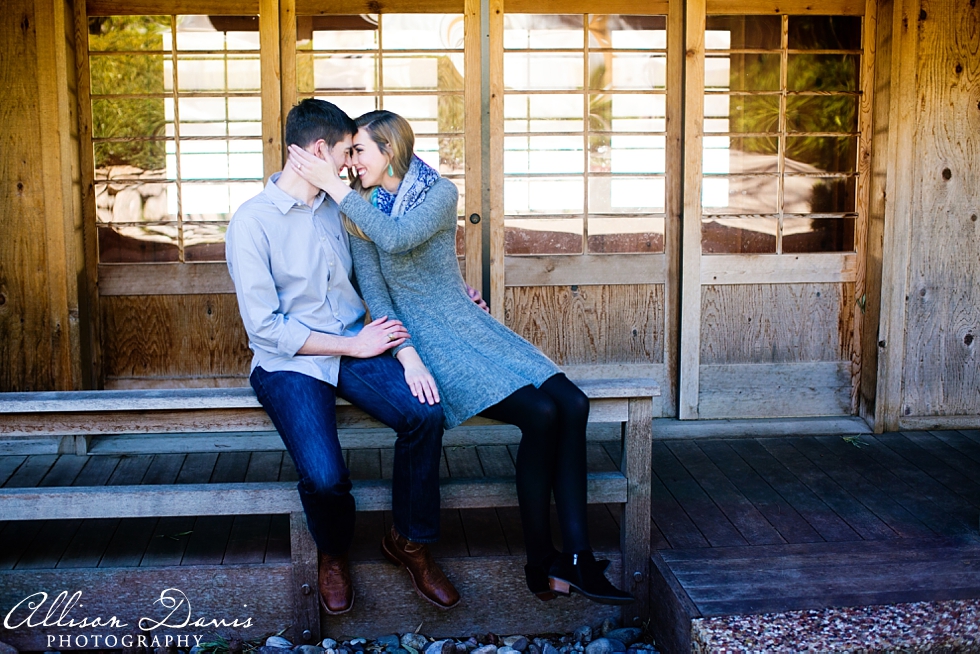 Claire_Jonathan_Romantic_Engagement_Portraits_Fort_Worth_Japanese_Gardens_Brewed_Melt_Allison_Davis_Photography_004