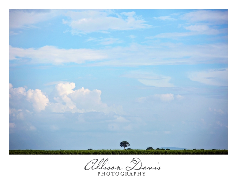 Tanzania_Landscape_Photography_Allison_Davis_Photography_011