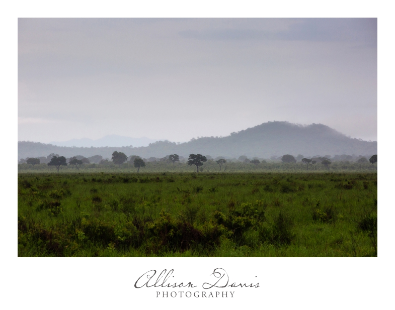 Tanzania_Travel_Photographer_Mikumi_National_Park_Safari_Allison_Davis_Photography_025