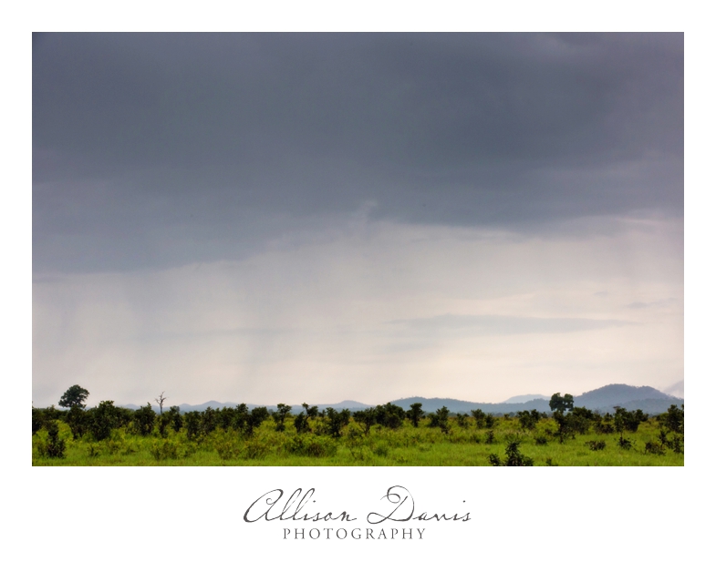 Tanzania_Travel_Photographer_Mikumi_National_Park_Safari_Allison_Davis_Photography_026
