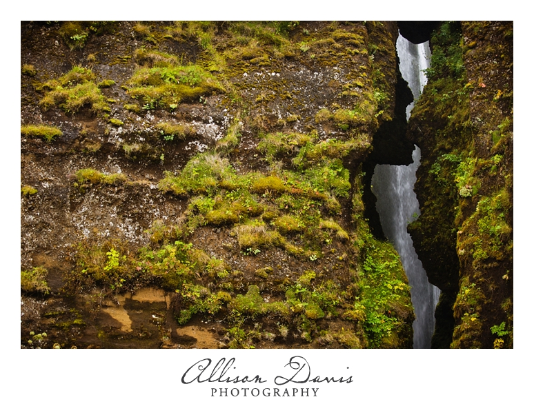 Travel_Photographer_Allison_Davis_Photography_Iceland_Roadtrip_2016_004