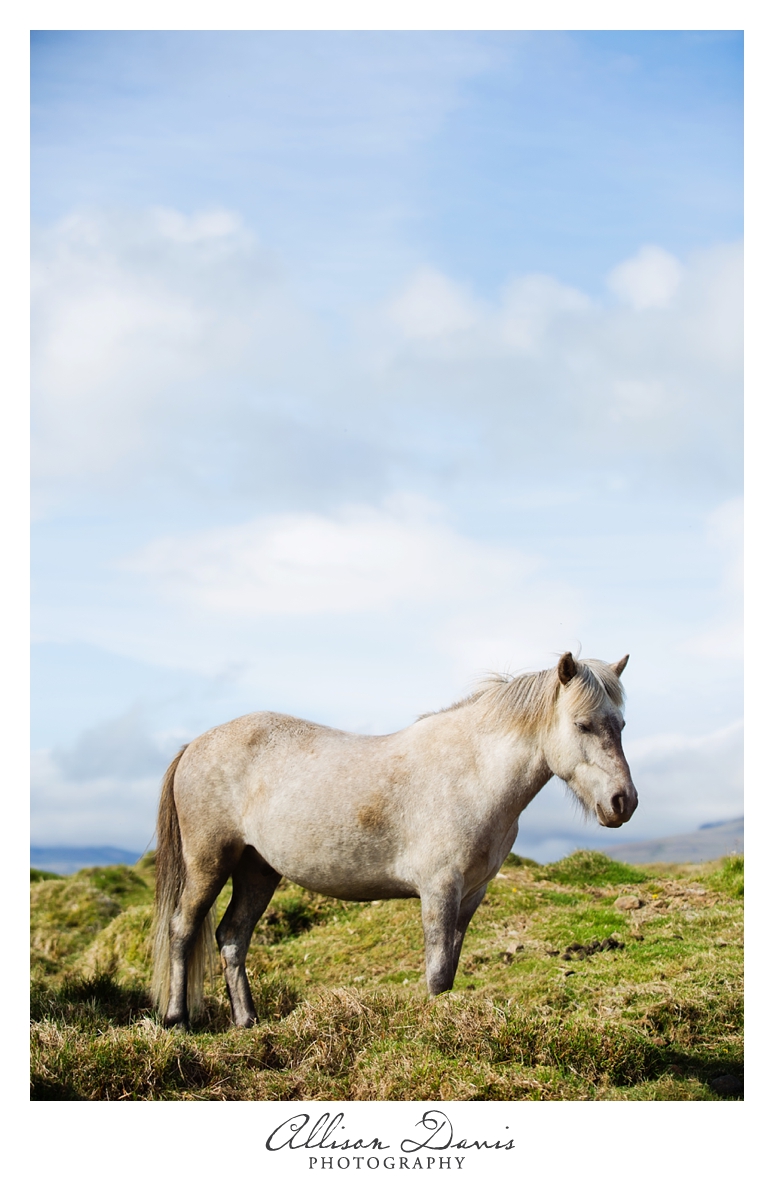 Travel_Photographer_Allison_Davis_Photography_Iceland_Roadtrip_2016_035