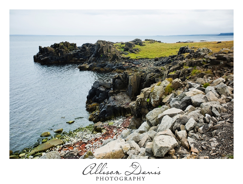 Travel_Photographer_Allison_Davis_Photography_Iceland_Roadtrip_2016_038