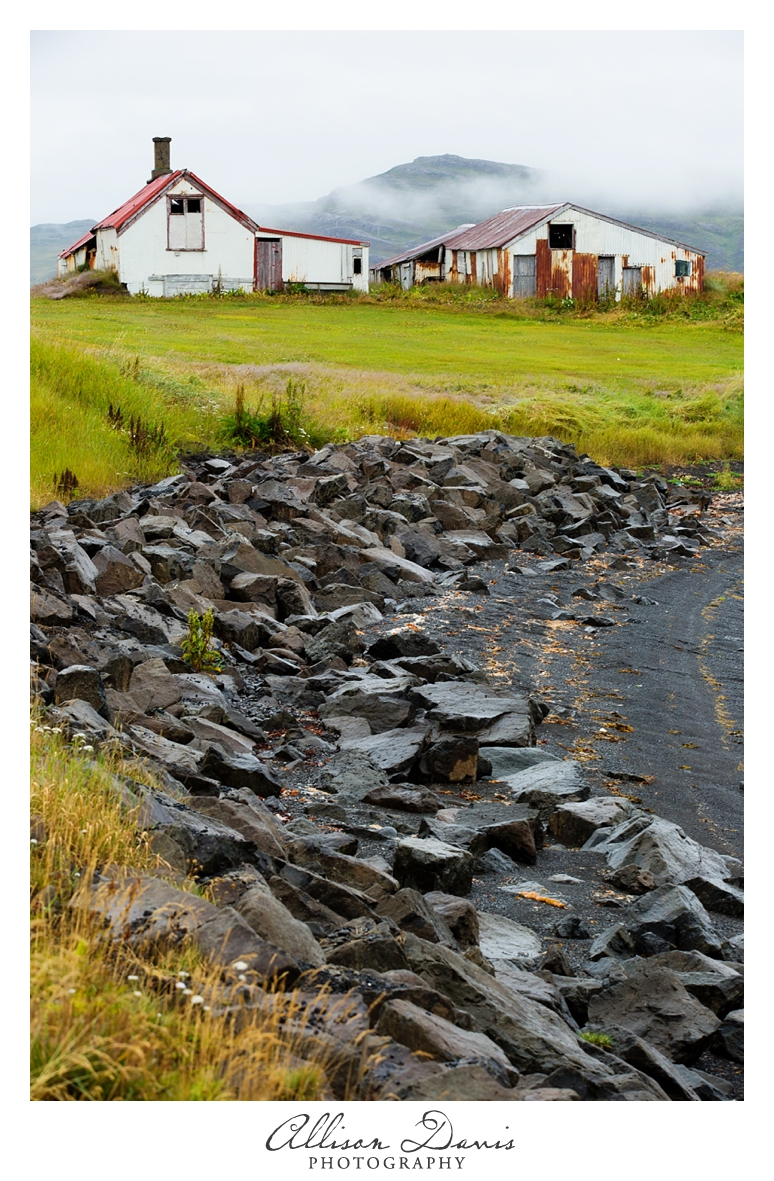 Travel_Photographer_Allison_Davis_Photography_Iceland_Roadtrip_2016_039