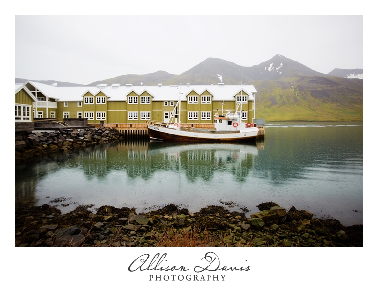 Travel_Photographer_Allison_Davis_Photography_Iceland_Roadtrip_2016_040