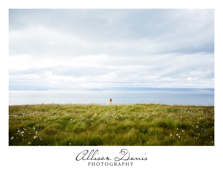 Travel_Photographer_Allison_Davis_Photography_Iceland_Roadtrip_2016_052
