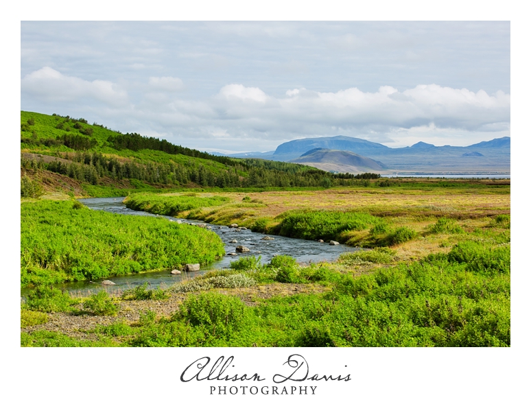 Travel_Photographer_Allison_Davis_Photography_Iceland_Roadtrip_2016_053