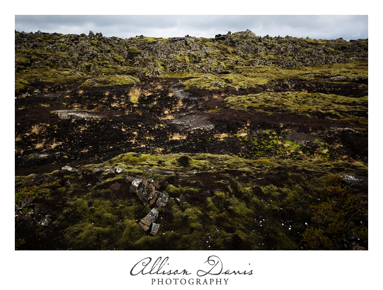 Travel_Photographer_Allison_Davis_Photography_Iceland_Roadtrip_2016_055