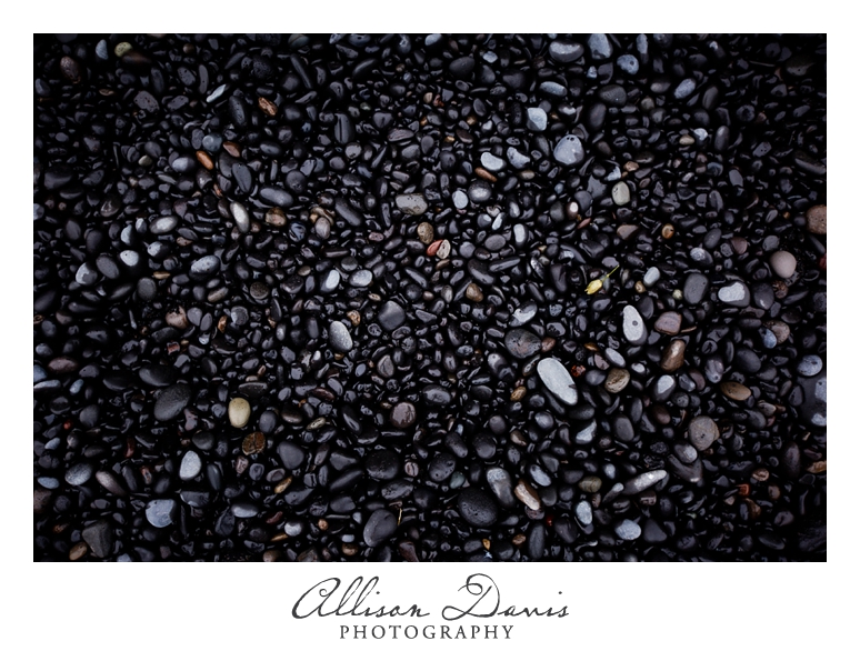 Travel_Photographer_Allison_Davis_Photography_Iceland_Roadtrip_2016_056