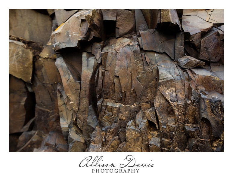 Travel_Photographer_Allison_Davis_Photography_Iceland_Roadtrip_2016_061