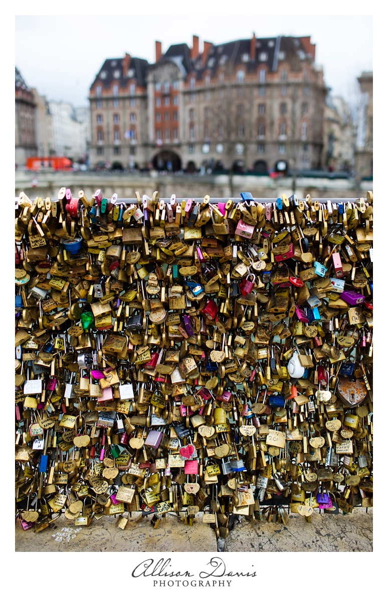 Travel_Photographer_Allison_Davis_Photography_Landscape_Photos_of_Northern_France_Paris_Etretat_Mont_Saint_Michel_Dinan_031