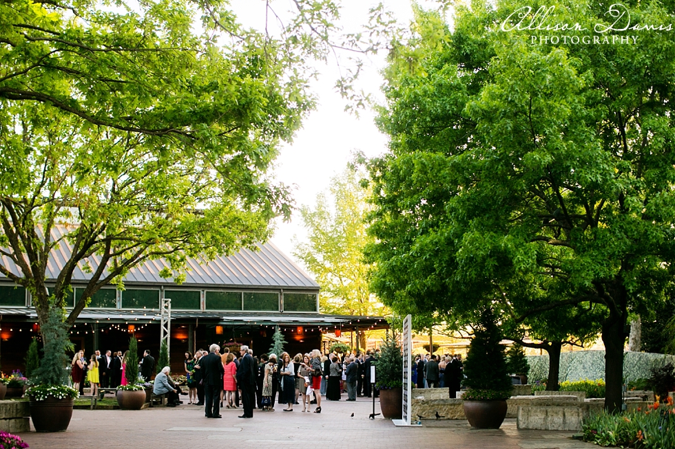 Dani_Chris_Texas_Wedding_Dallas_Arboretum_Allison_Davis_Photography_0046