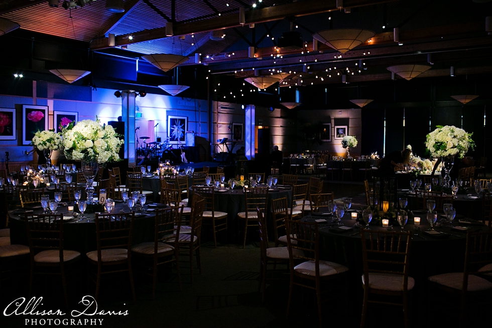 Dani_Chris_Texas_Wedding_Dallas_Arboretum_Allison_Davis_Photography_0050