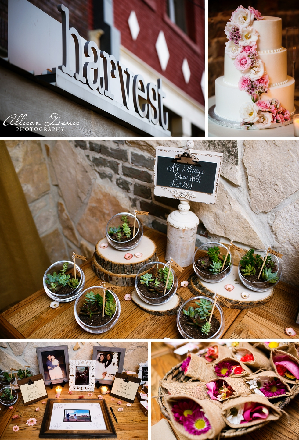 Sonia_Xavier_Wedding_Bella_Donna_Chapel_Harvest_McKinney_Texas_AllisonDavisPhotography_028