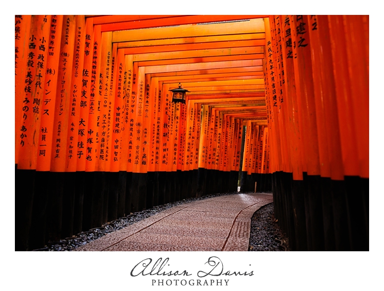 Japan_Travel_Landscape_Photographer_Allison_Davis_Photography_0001