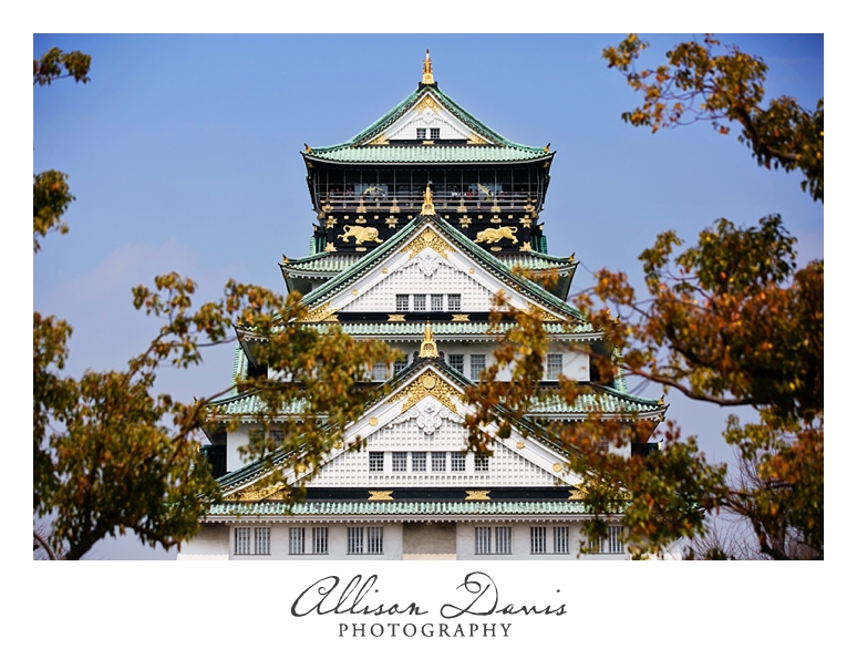 Japan_Travel_Landscape_Photographer_Allison_Davis_Photography_0004