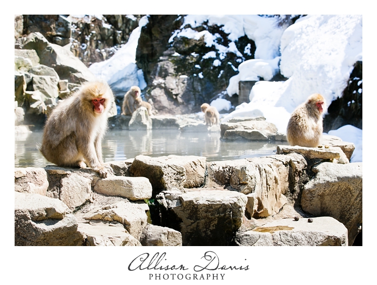 Japan_Travel_Landscape_Photographer_Allison_Davis_Photography_0005