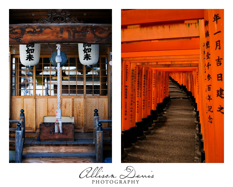 Japan_Travel_Landscape_Photographer_Allison_Davis_Photography_0015