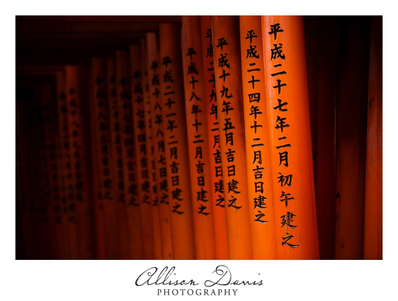 Japan_Travel_Landscape_Photographer_Allison_Davis_Photography_0017