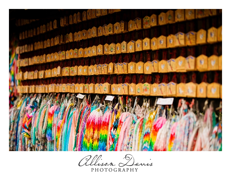 Japan_Travel_Landscape_Photographer_Allison_Davis_Photography_0018