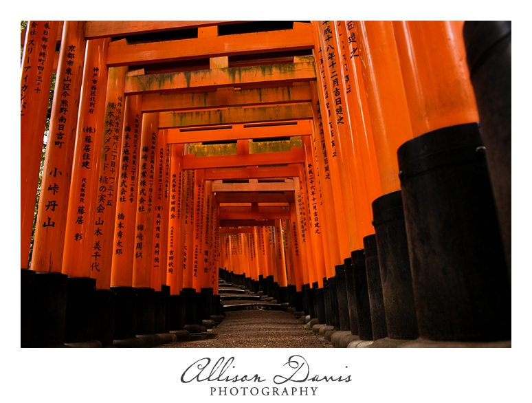 Japan_Travel_Landscape_Photographer_Allison_Davis_Photography_0020