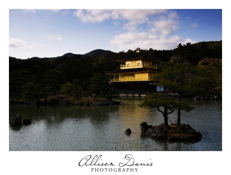 Japan_Travel_Landscape_Photographer_Allison_Davis_Photography_0024